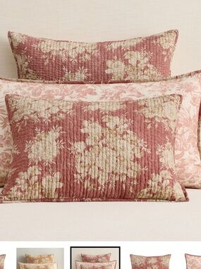Pottery Barn Juliette Toile Handcrafted Reversible Standard Sham Set 2